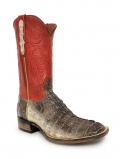 New Collection Black Jack Men's Natural Caiman - Brown