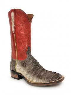 New Collection Black Jack Men's Natural Caiman - Brown