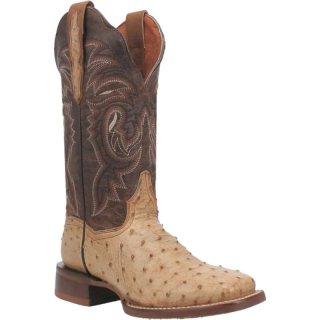 Dan Post Boots Kylo Women'S Ostrich-Taupe | Free Shipping