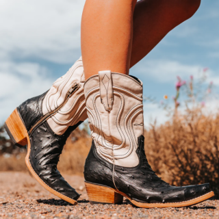 FREEBIRD | WOMEN'S WARRICK-BLACK OSTRICH MULTI | STYLISH OUTLET
