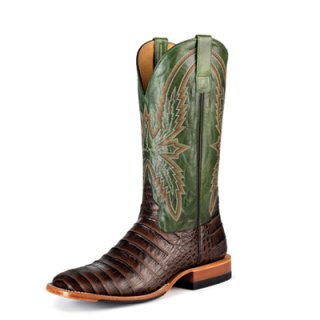 New Arrivals Horse Power Boots | HP6513 | New Arrivals