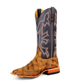 New Arrivals Horse Power Boots | HP6511 | New Arrivals