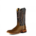New Arrivals Horse Power Boots | HP8070 | New Arrivals
