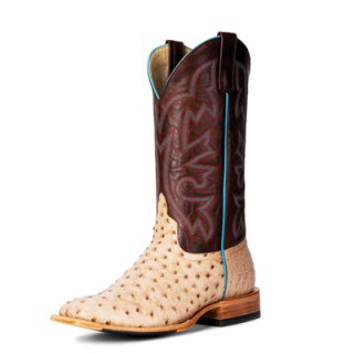 New Arrivals Horse Power Boots | HP8051 | Free Shipping