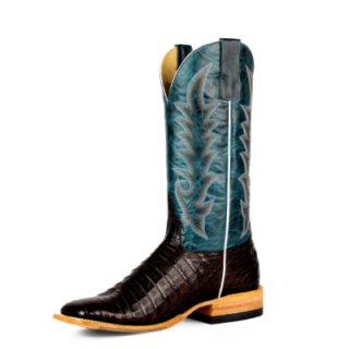 New Arrivals Horse Power Boots | HPW2501 | Special Offer