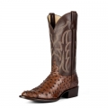 New Arrivals Horse Power Boots | HP6511 | Free Shipping
