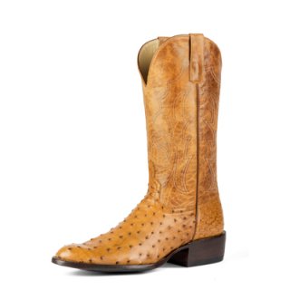 New Arrivals Horse Power Boots | HP6512 | Free Shipping