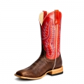 New Arrivals Horse Power Boots | HP8056 | Free Shipping