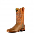 New Arrivals Horse Power Boots | HP8069 | New Arrivals