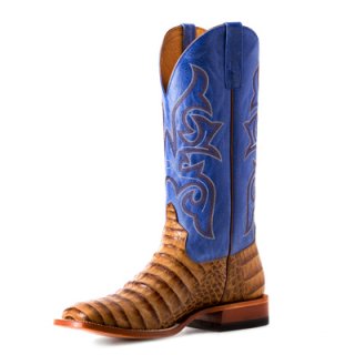 New Arrivals Horse Power Boots | HPW2501 | New Arrivals