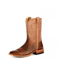 New Arrivals Horse Power Boots | HP6512 | New Arrivals