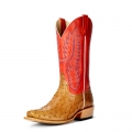 New Arrivals Horse Power Boots | HP6512 | Special Offer
