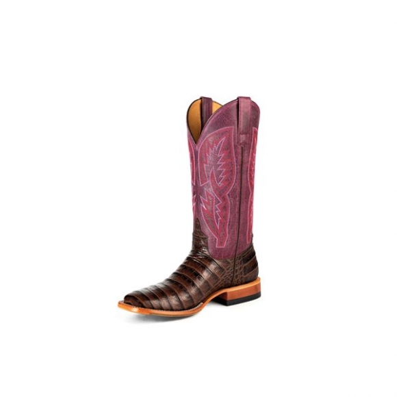 MACIE BEAN NEW ARRIVALS WOMEN'S M9172 - "WITH ALL MY BITE"