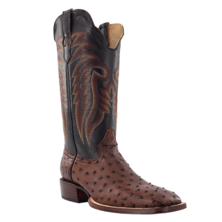 R Watson Quick Ship Men's Full Quill Ostrich Wide Square 13"- KANGO TOBAC BRUCIATO