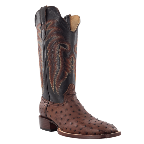 R Watson Quick Ship Men's Full Quill Ostrich Wide Square 13"- KANGO TOBAC BRUCIATO