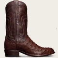 Men's Tecovas The Wyatt-Mahogany Ostrich | Special Offer